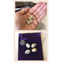 Cowrie Orakel setje