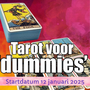  Tarot voor 'dummies'  6 lessen, start zondag 12 januari  2025 14:00-16:30 uur.