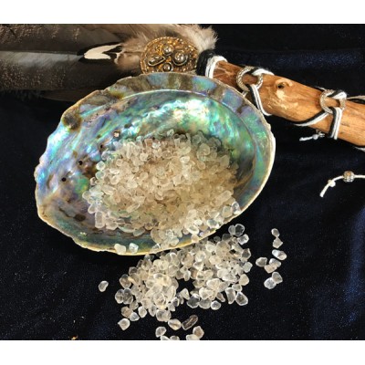 Abalone (Paua) Schelp Abalone (Paua) Schelp