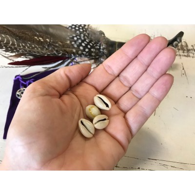 Cowrie Orakel setje Cowrie Orakel setje