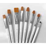 Abalone (Paua) Schelp