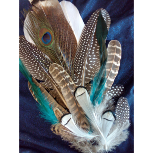 Workshop Smudge and -Feathers  zondag 21 februari 14:00-16:30 uur