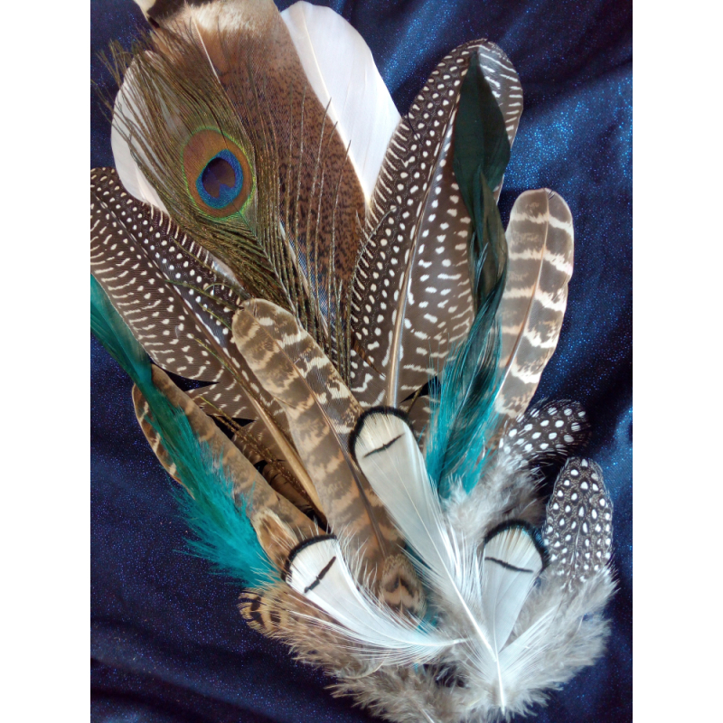 Workshop Smudge and -Feathers  zondag 21 februari 14:00-16:30 uur
