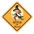 Auto/raam sticker witch on board2